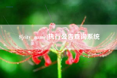 诸城执行公告查询系统