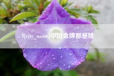 诸城中国金牌都是啥