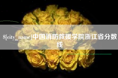 诸城中国消防救援学院浙江省分数线