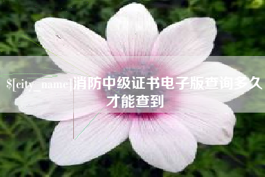 诸城消防中级证书电子版查询多久才能查到