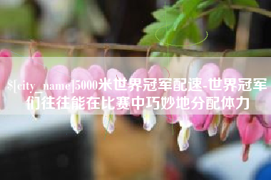 诸城5000米世界冠军配速-世界冠军们往往能在比赛中巧妙地分配体力