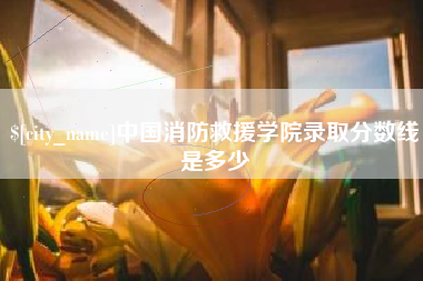 诸城中国消防救援学院录取分数线是多少