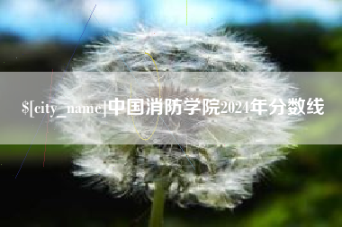诸城中国消防学院2024年分数线
