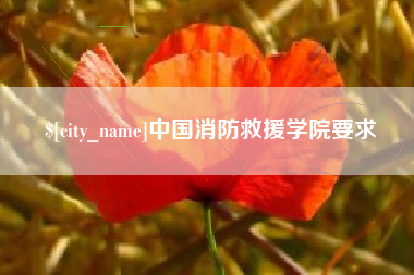 诸城中国消防救援学院要求