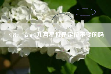 诸城九宫星位是定位不变的吗