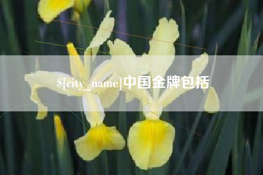 诸城中国金牌包括