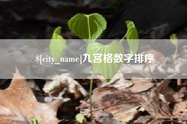 诸城九宫格数字排序