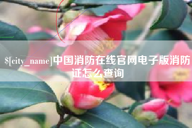 诸城中国消防在线官网电子版消防证怎么查询