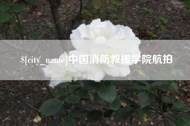 诸城中国消防救援学院航拍