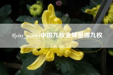 诸城中国九枚金牌是哪九枚