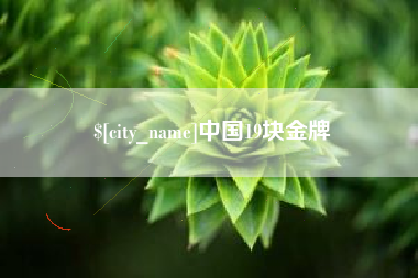 诸城中国19块金牌