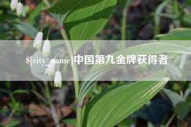 诸城中国第九金牌获得者