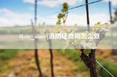 诸城消防证查询怎么查