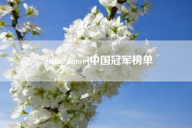 诸城中国冠军榜单