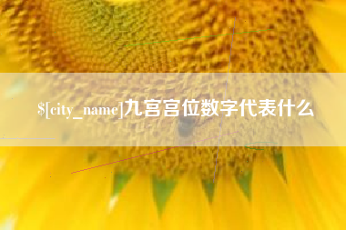 诸城九宫宫位数字代表什么