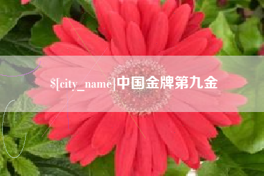 诸城中国金牌第九金