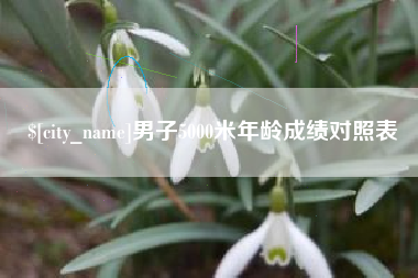 诸城男子5000米年龄成绩对照表
