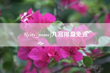 诸城九宫排盘免费