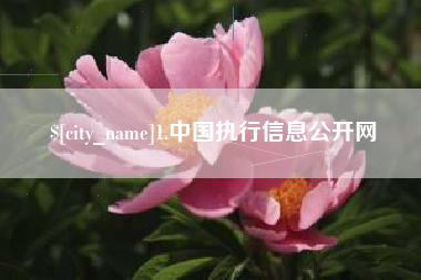 诸城1.中国执行信息公开网