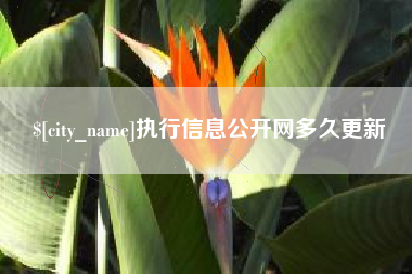 诸城执行信息公开网多久更新