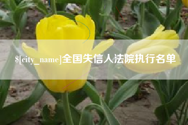 诸城全国失信人法院执行名单