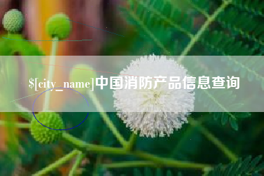 诸城中国消防产品信息查询