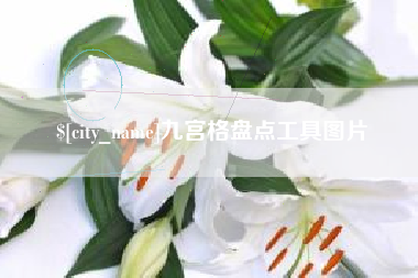 诸城九宫格盘点工具图片