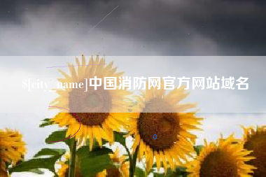 诸城中国消防网官方网站域名