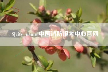诸城中国消防报考中心官网