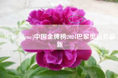诸城中国金牌榜2024巴黎奥运会最新