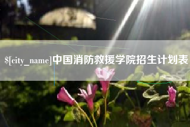 诸城中国消防救援学院招生计划表