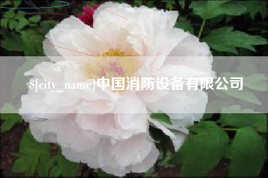 诸城中国消防设备有限公司