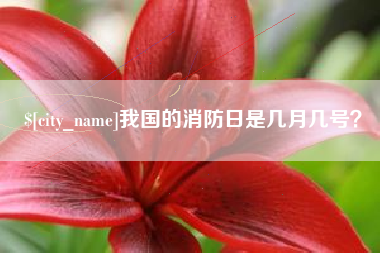 诸城我国的消防日是几月几号？