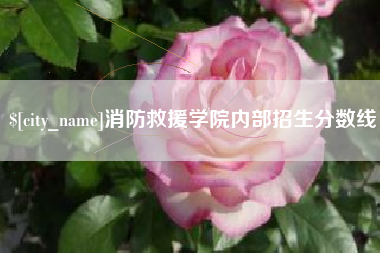 诸城消防救援学院内部招生分数线