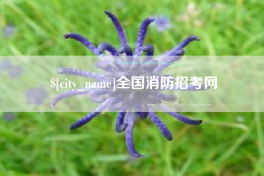 诸城全国消防招考网