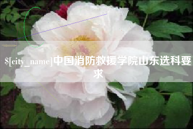 诸城中国消防救援学院山东选科要求