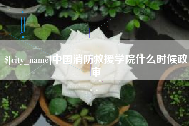诸城中国消防救援学院什么时候政审