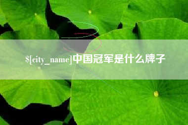 诸城中国冠军是什么牌子