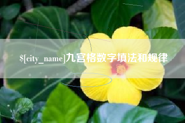 诸城九宫格数字填法和规律