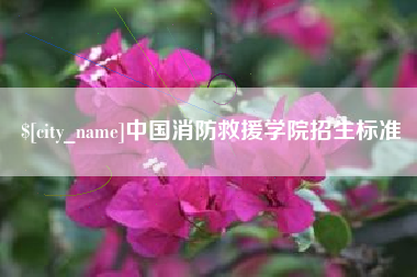 诸城中国消防救援学院招生标准