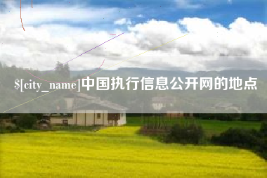 诸城中国执行信息公开网的地点