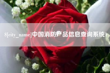 诸城中国消防产品信息查询系统1