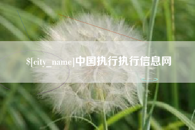 诸城中国执行执行信息网