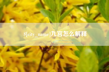诸城九宫怎么解释