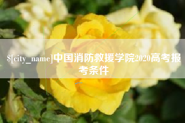 诸城中国消防救援学院2020高考报考条件