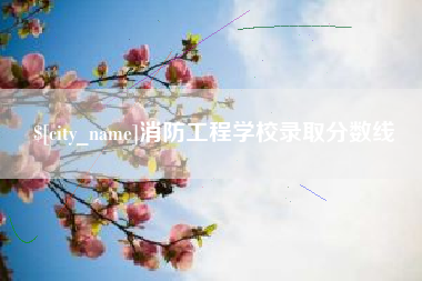 诸城消防工程学校录取分数线