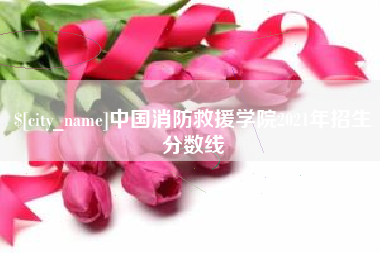 诸城中国消防救援学院2021年招生分数线