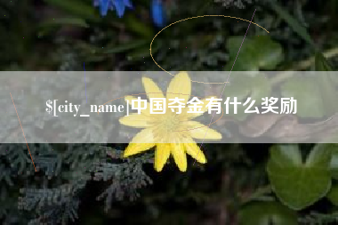 诸城中国夺金有什么奖励