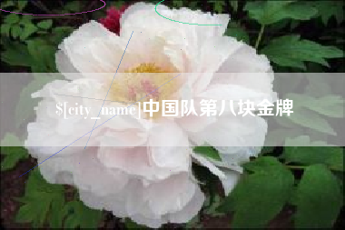 诸城中国队第八块金牌