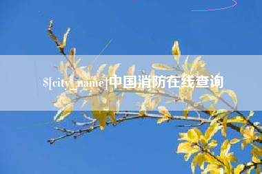 诸城中国消防在线查询